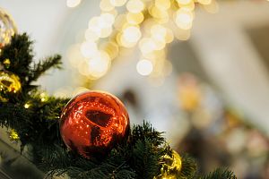 Розыгрыш «С новым фудкортом» 29 декабря 2023